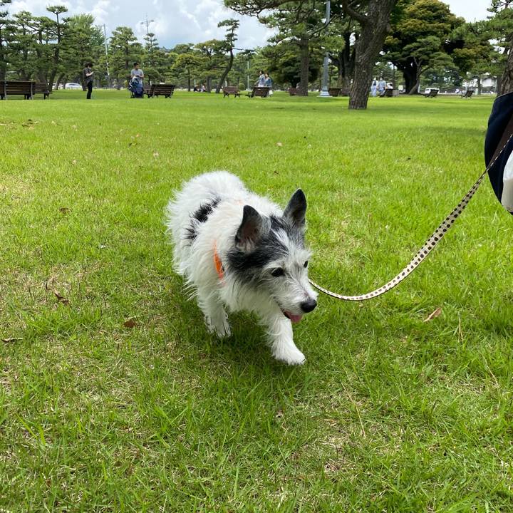 F3278969 2c18 4ce3 88f3 92c776f3a18c 1590926264704