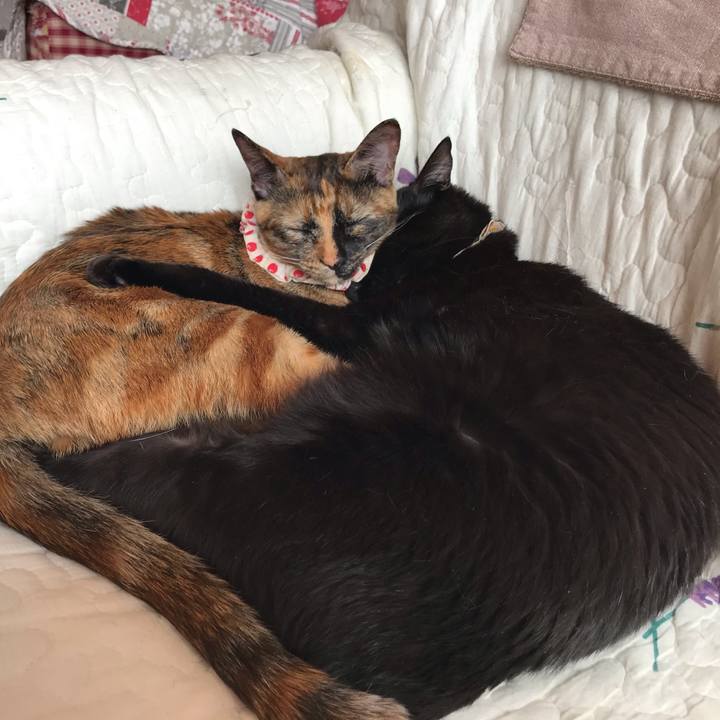 F3279896 7cb6 473d 8307 e76490148ad3 1617751826018