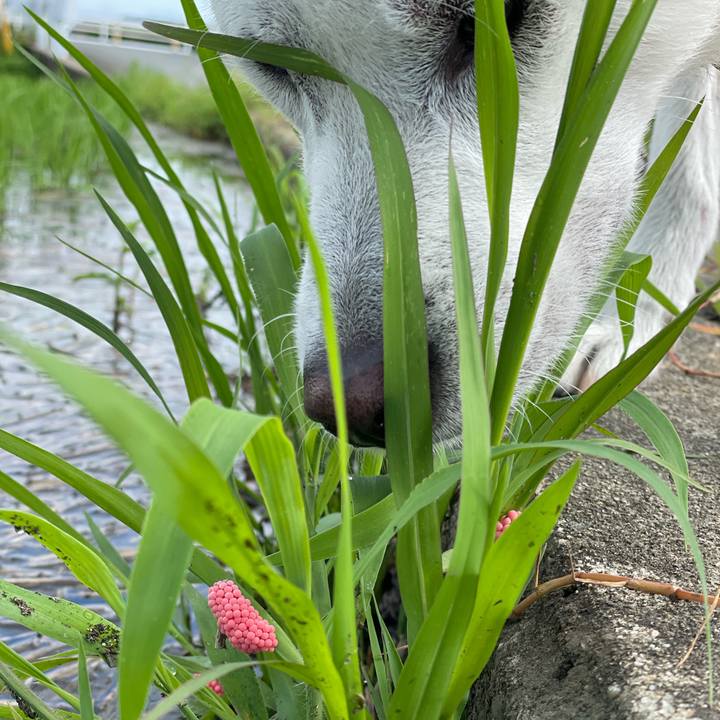 F327a5ba 90b3 4c39 ad4e ba38552e01a2 1688260223143