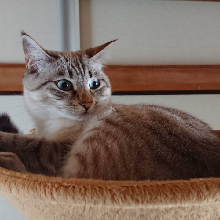 F327a985 5ee6 4bbb 87b7 bdcb43e99f6f 1511412105800