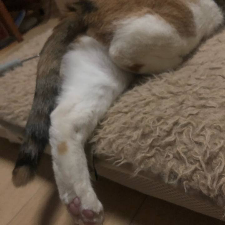 F327bc9d 2843 4a69 84bc 654f2d839014 1610725534747