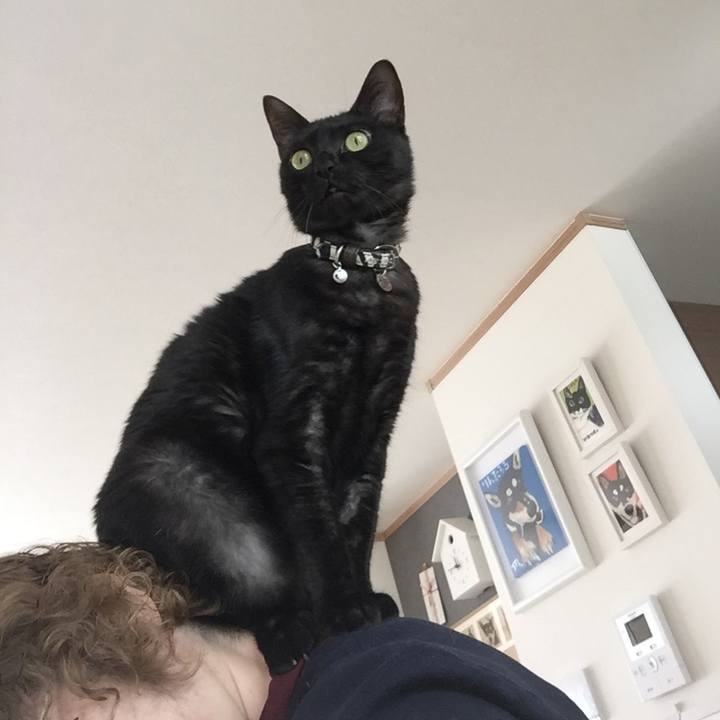 F327c938 9275 4a98 98af eab04a46ece8 1513911666990