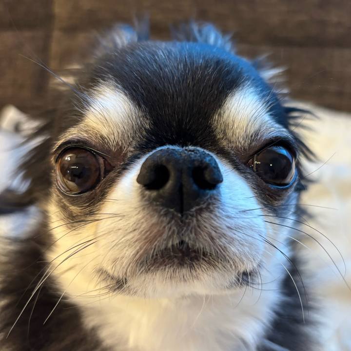 F327cc8e f2bd 4f07 8448 d97986b35834 1735771497678