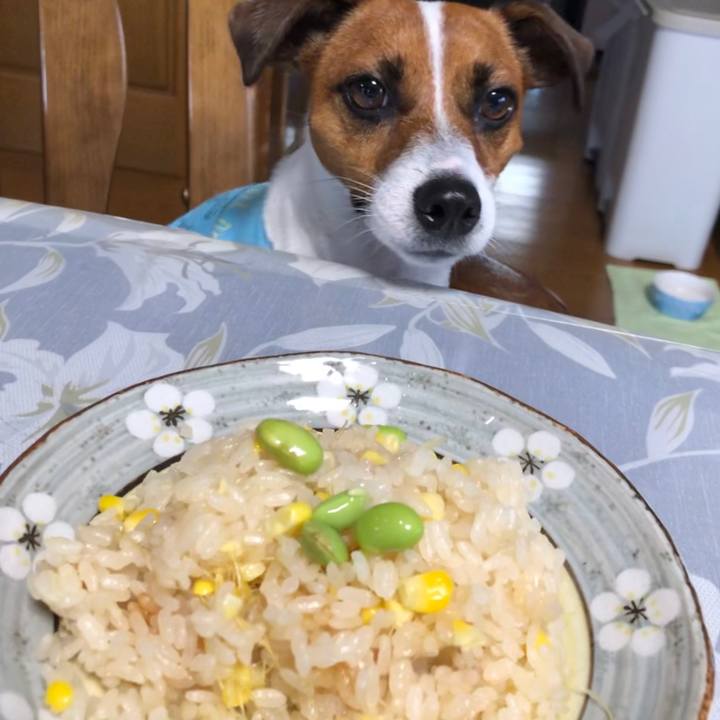 F327d796 a623 4311 aeda 044f96c44109 1565155911740