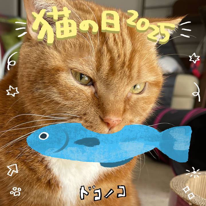 F327f684 355f 4a7e a201 a1b1ba35b490 1740304533029