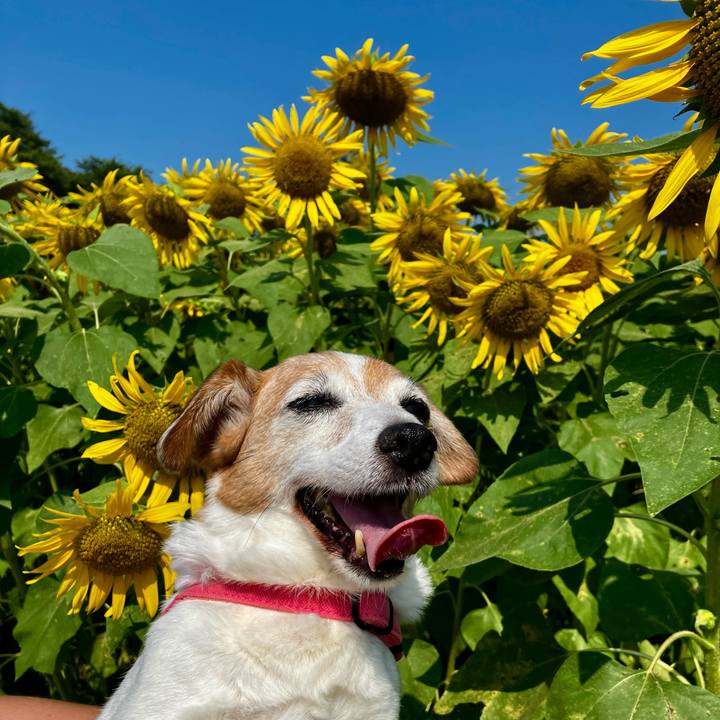 F32831e2 e3fa 4261 8aaa bc0b0b5f3c2e 1722745919570