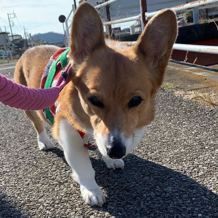 F3283295 5ad8 4fb8 9d0d 90a7a6b3396e 1705645111715