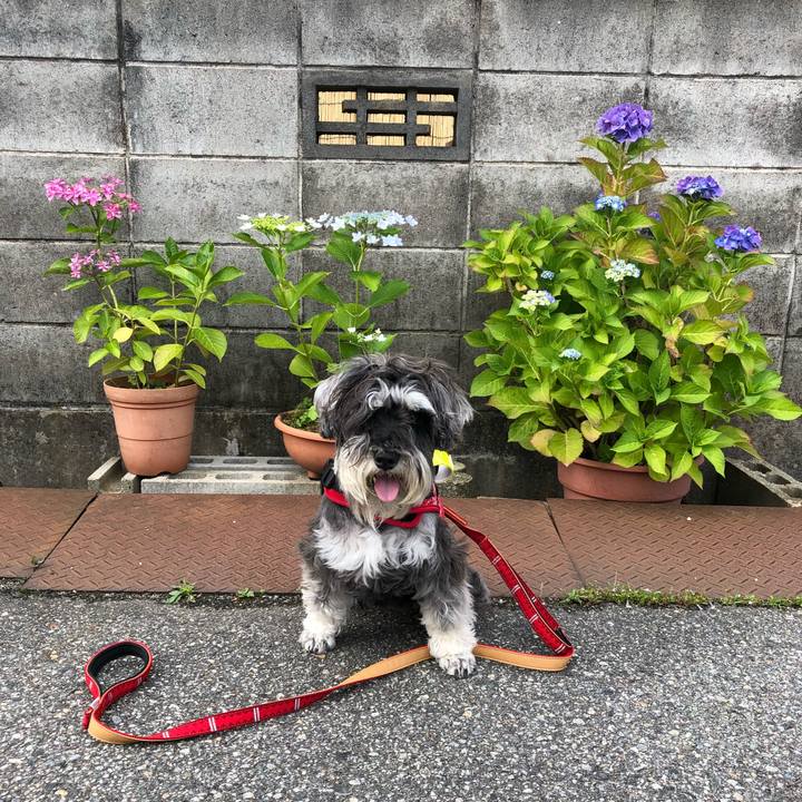 F3284550 b5e9 458a 9f2c 65d59f1b79c4 1529792122751