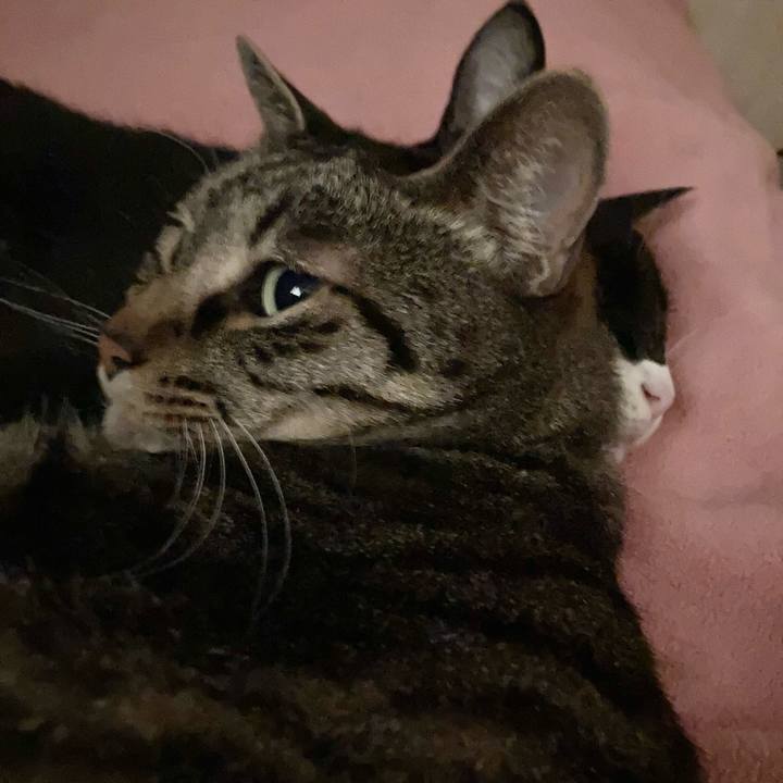 F3285dac 4248 4d1e 82f7 0207ce776aef 1649743830991