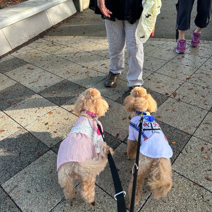 F328805c b759 4593 a231 dd296c3cc4a8 1691974891567