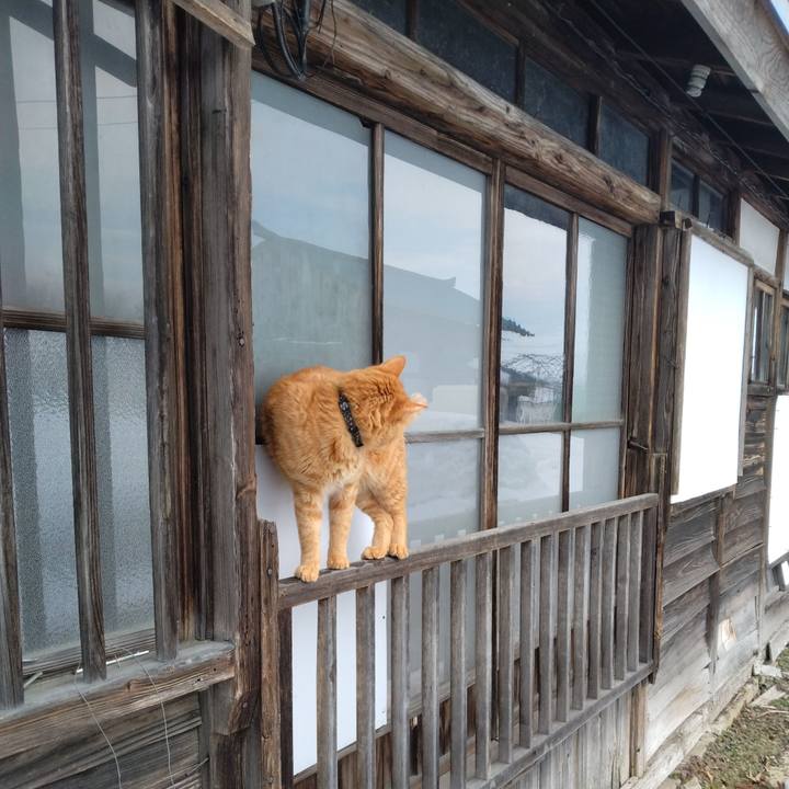 F32883c4 0a2b 4351 9ad8 12bd3fb4fe7e 1677128597931