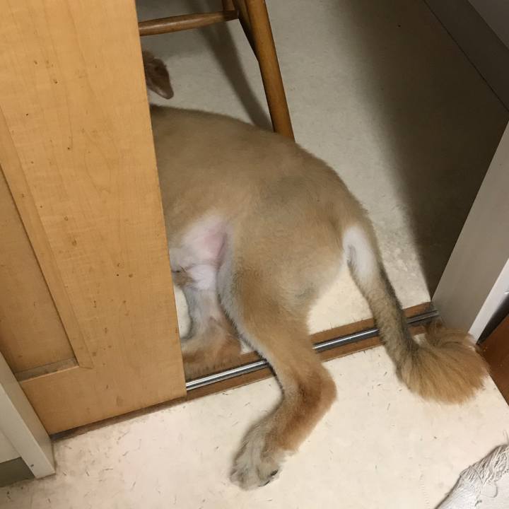 F3289ed5 c9a4 4588 b242 f975c42f5d63 1598163505477