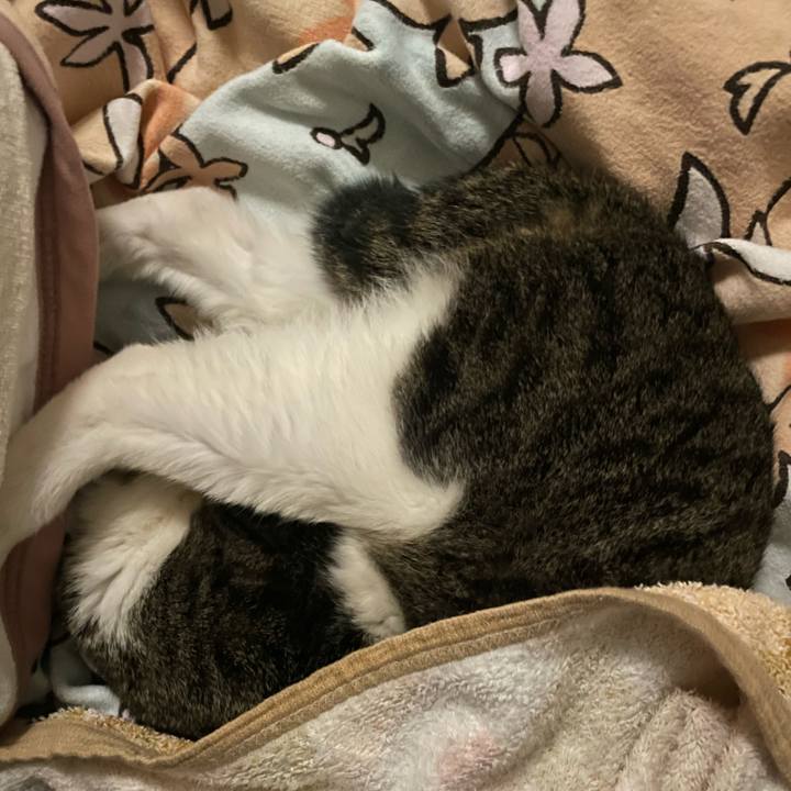 F328b498 f91f 4384 b156 99b3dfad956a 1741896961883