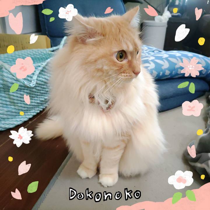 F328c8e7 c97c 4574 8813 d1efebf0de17 1711000921941