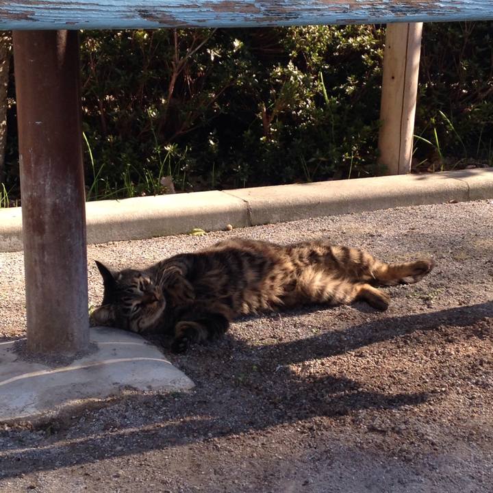 F328d58c 09b7 425d ba94 f9c20b4c5f08 1510464249393