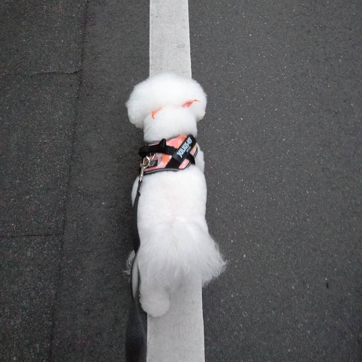 F328eea7 f412 4f75 97e3 0853cc3e7e0f 1673942936753