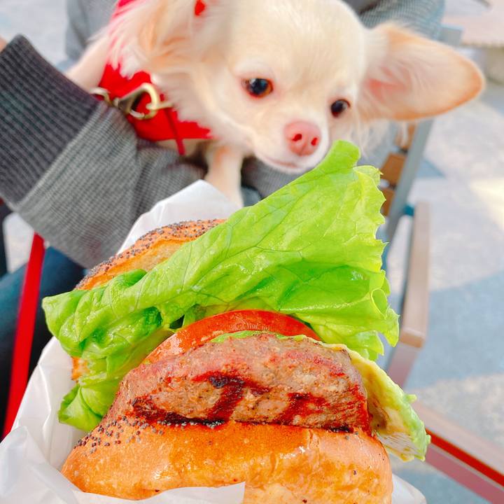 F329209b d947 4b1e a0d8 80524e3416d9 1639556647287