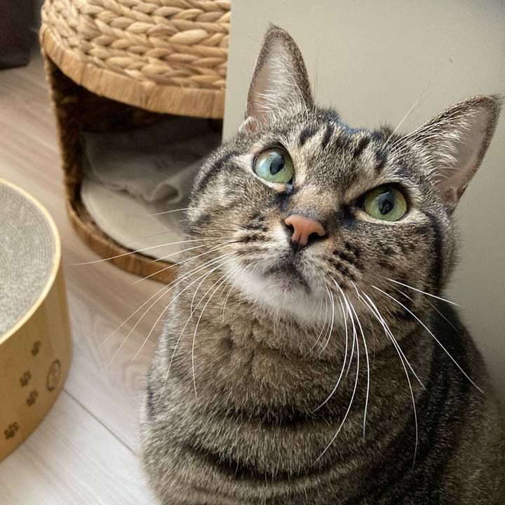 F32927e4 c685 4b63 a14d bef3dbe8a1f4 1705988468313