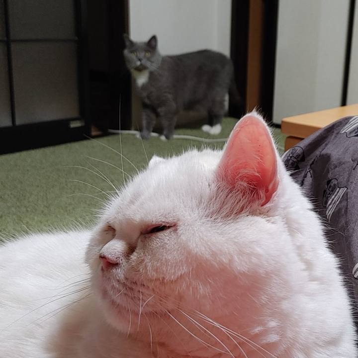 F329951a 2853 4672 af47 0977d4658660 1681735058434