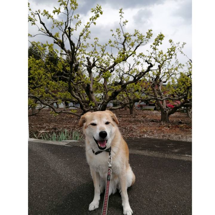 F3299ce3 ae9e 41b5 b6a8 c9ab14e1ac11 1587549906100