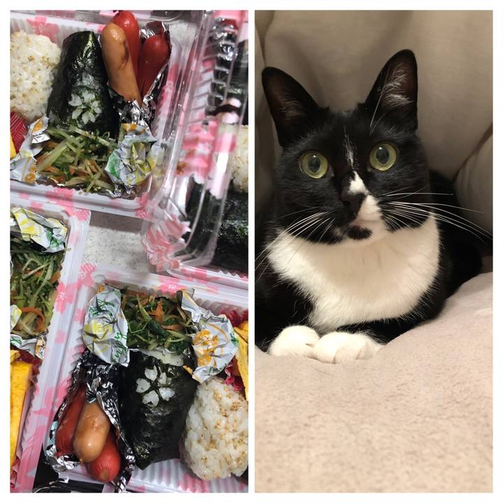 F329dc15 1c8d 42a9 8d64 0c5990e374ab 1554088844577