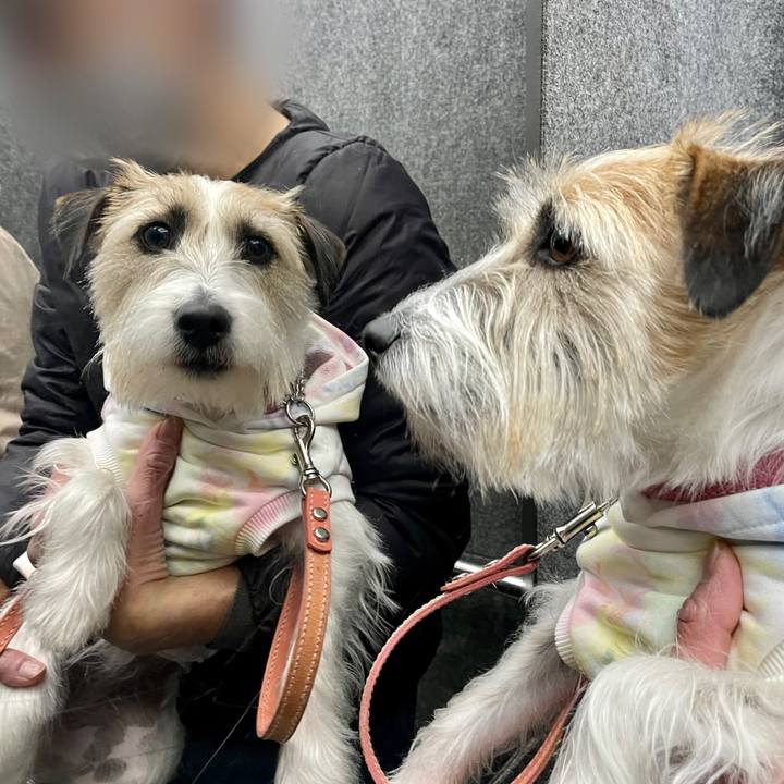 F329f006 64b0 4789 80c2 74afd41650fd 1648904141584