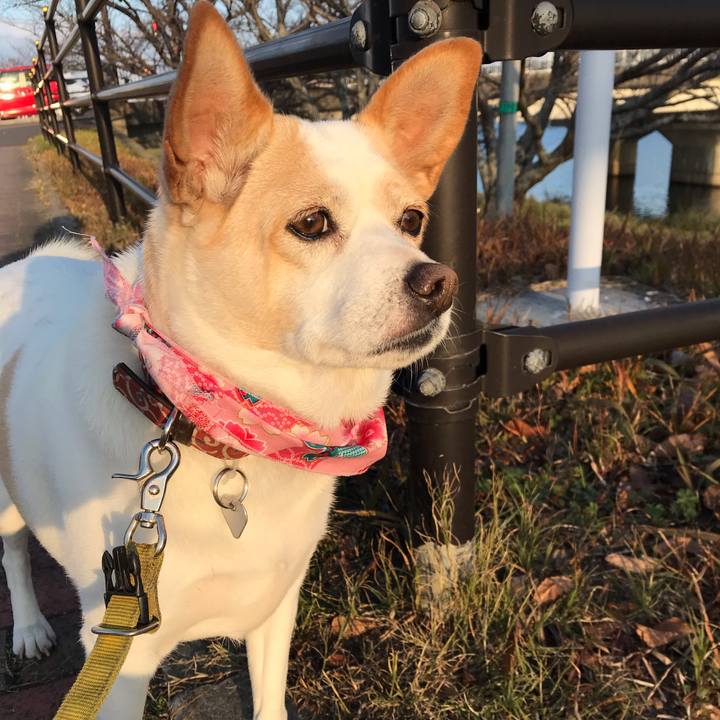 F32a0447 4974 42fc 87e4 4b4ba3acf1db 1672477919301