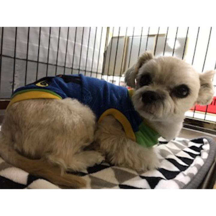 F32a0ea8 05c7 445f 914c 90a47be3737f 1544700125393