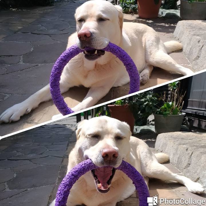 F32a1ef3 58a4 44df 89fe 133ad91b7ddc 1615868003907