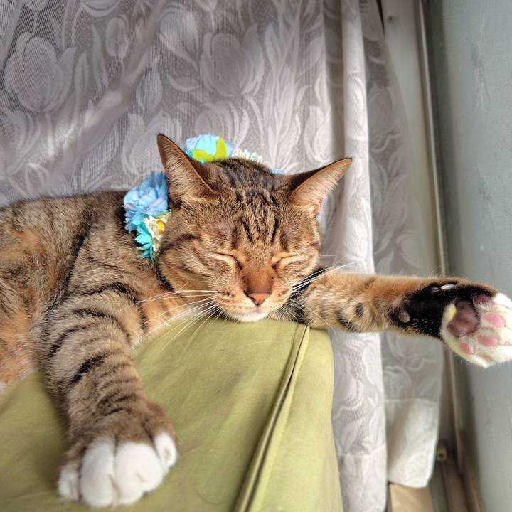 F32a332e f54d 4da5 a641 728cdf92074d 1763423554626