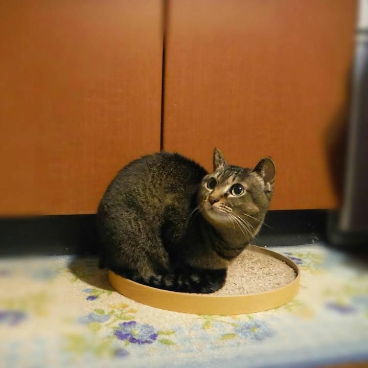 F32a51b3 b901 4807 ab1d acf1bf8a3080 1510993959117