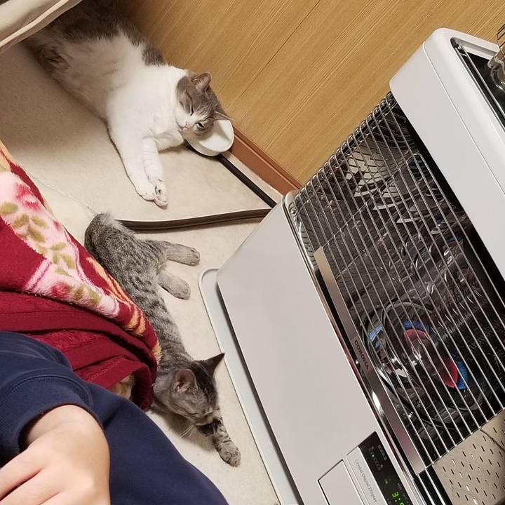 F32a7188 88ca 4c7a 8318 4b279045a069 1667631824582