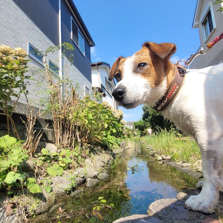 F32a91d6 a6f3 4ab7 b1e6 0c5f1cbc07f0 1690507546998