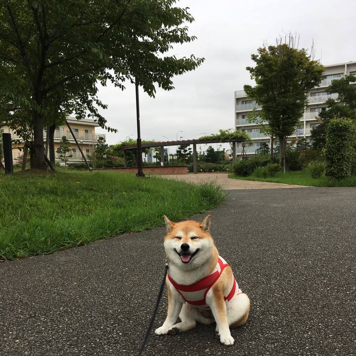 F32a958e 60eb 4ca0 a503 ffce0d16dfc6 1567558450549