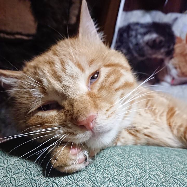 F32aa7ff 3fbf 4525 b345 89563aa17d26 1656681256123