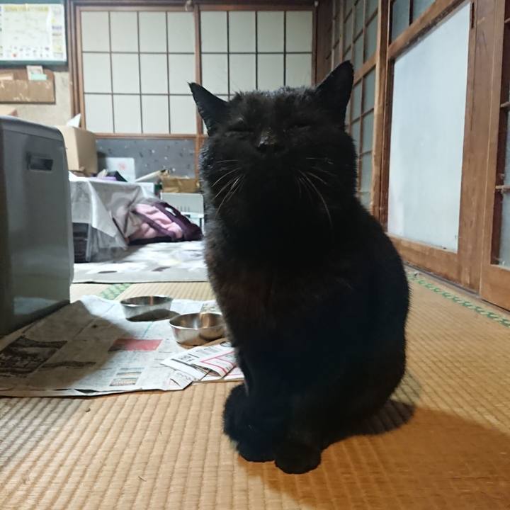 F32b335e 6a9e 4196 b8d8 f2ce2e852a73 1618496975260