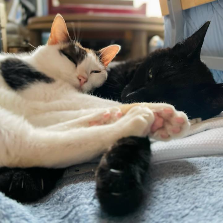 F32b5454 ecc7 4a5e a021 e54f666f1340 1632276113293