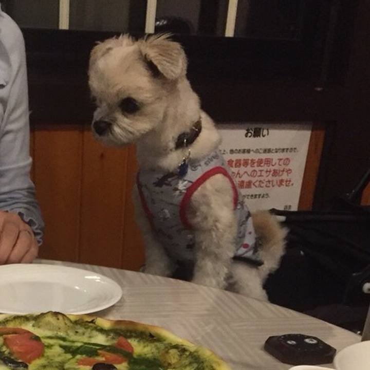 F32b5765 b410 4a71 81e8 f41ff0cff3aa 1509536326532