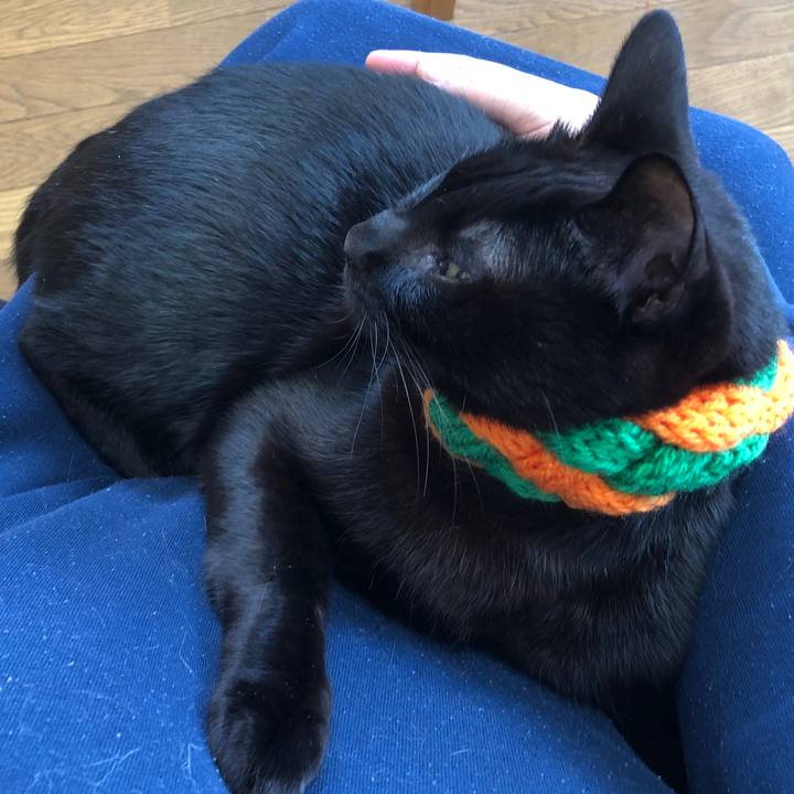 F32b954c 8cd6 4f1f 835b 7e9365b86f09 1733016074374