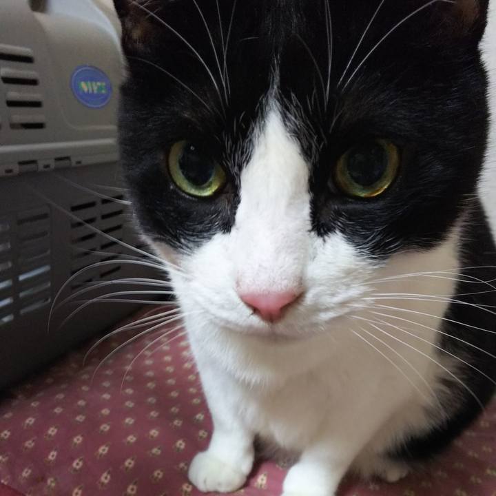 F32ba07b d024 42f2 b911 8da7a12ebf46 1548276474661