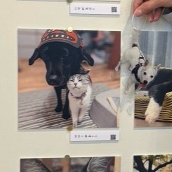 F32bbf1a 0350 4213 b8c4 47e53ec34bf0 1765624701159