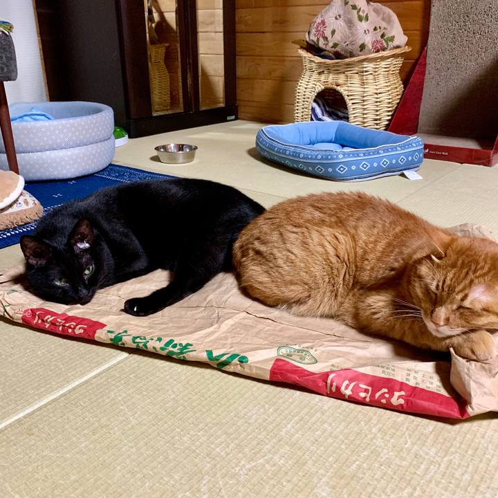 F32bca97 9a33 4c01 9889 954770652142 1569669600060