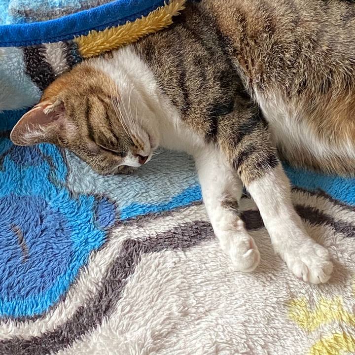 F32bfc08 0e68 40d8 bad8 fdb32317fe77 1589588738657