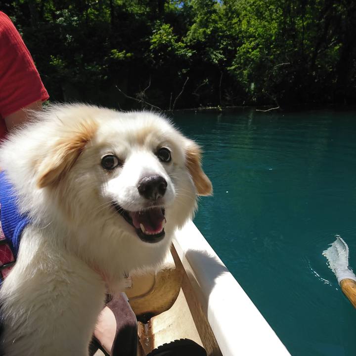 F32bffc4 6348 4985 bd8d a3d1fd36008b 1529741840898