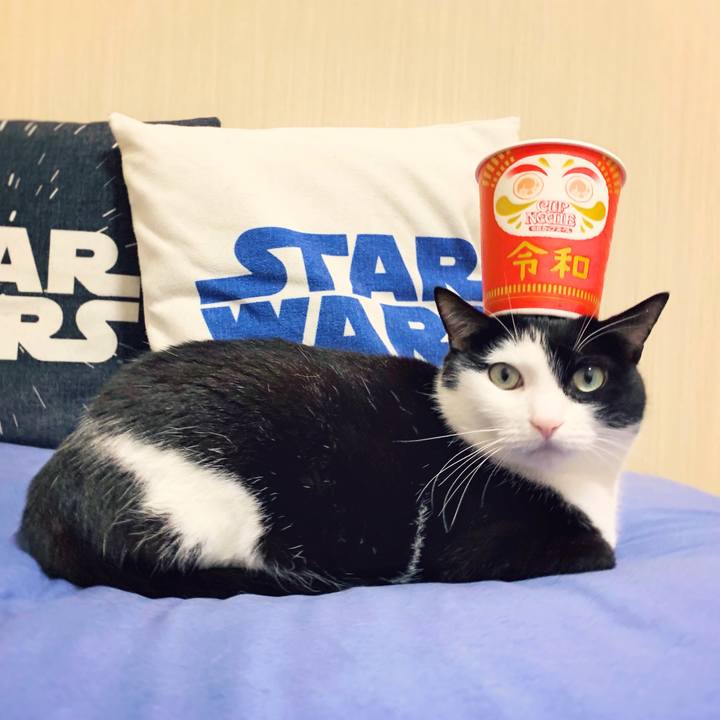 F32c064b 619e 41c3 8f48 aef971865491 1556709963338