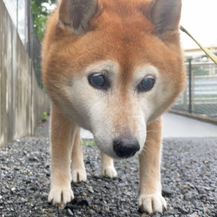 F32c1eff 6ea2 4ea2 ad74 d250f7c74625 1718973178664