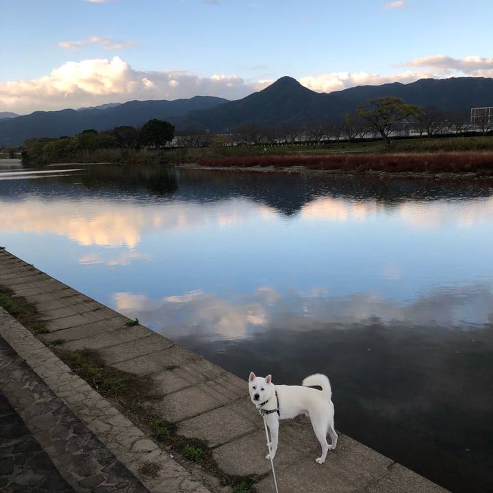 F32c6503 8791 4e95 ac1a 36feb3d749d6 1575419073516