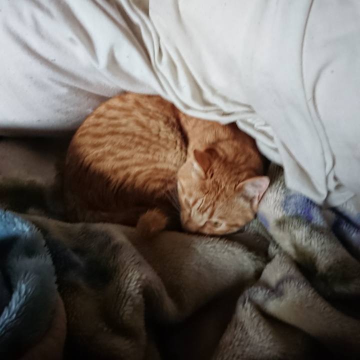 F32c7c2a 360c 400d 9575 93f9d24c7c07 1650059496450