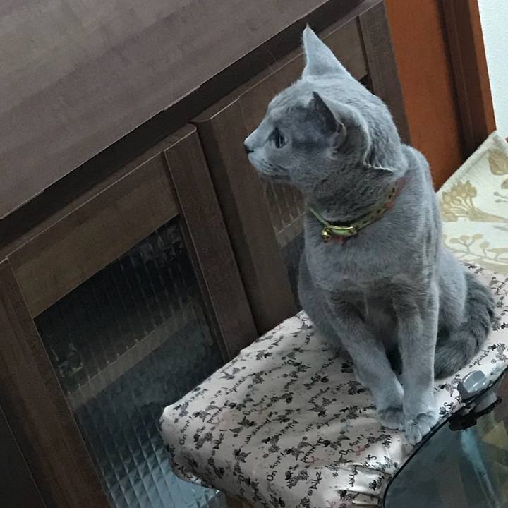 F32c8637 86b5 46a3 970c 5cc540df9420 1513052244713