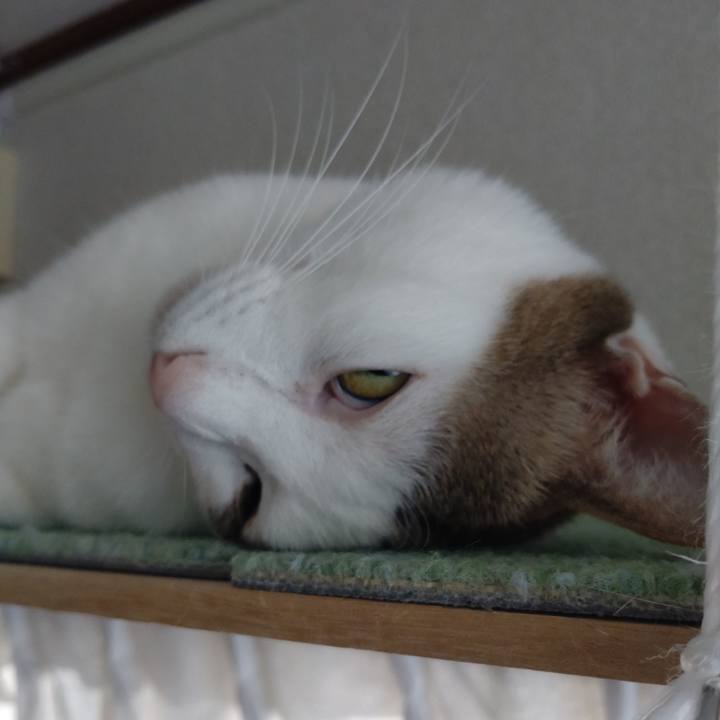 F32ca1df 78fd 43eb 8453 0ece7f7292c3 1735775250363